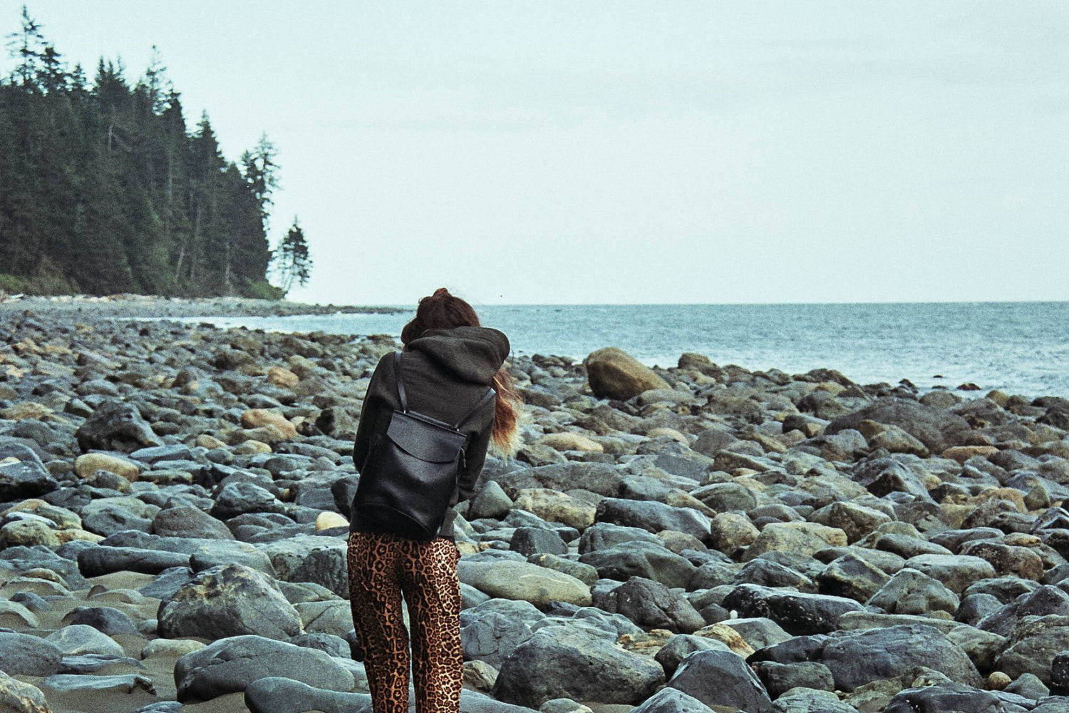 Between Trees: Sierra and The Peak Hoody