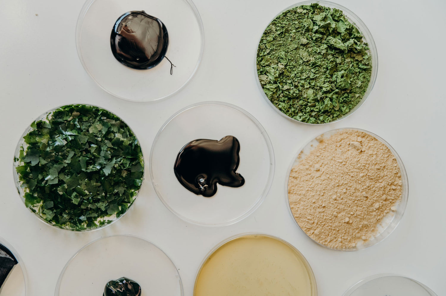 Algae Ink - An Alternative to Carbon Black