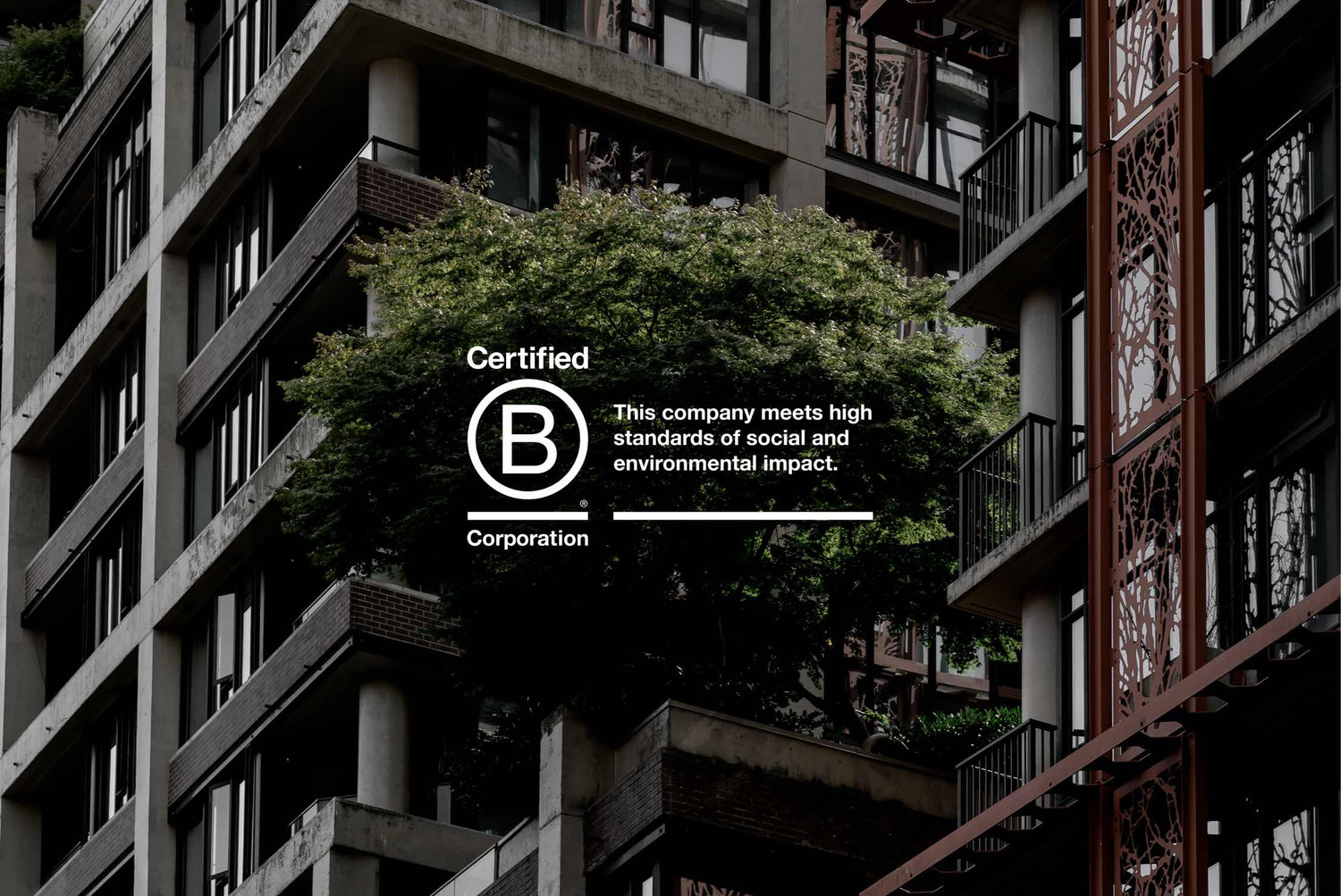 Becoming B Corporation Certified