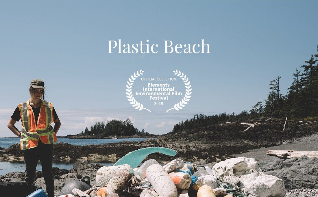 Investor Update - January 2019