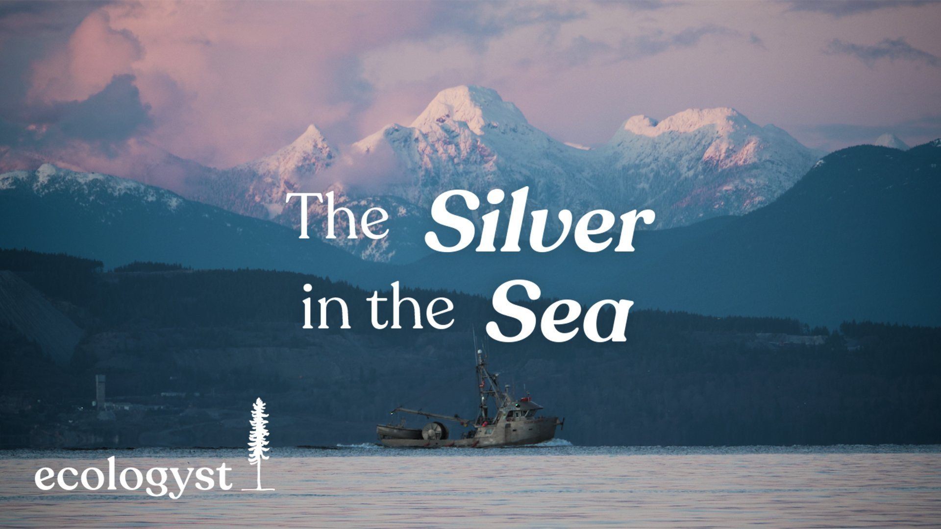 The Silver in the Sea | Film Release
