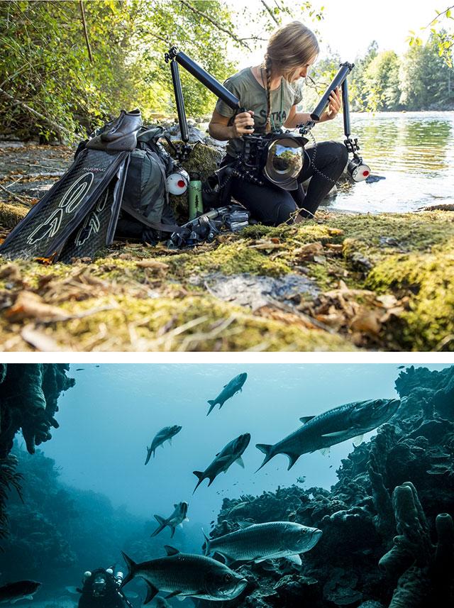 Getting to the Roots with April Bencze