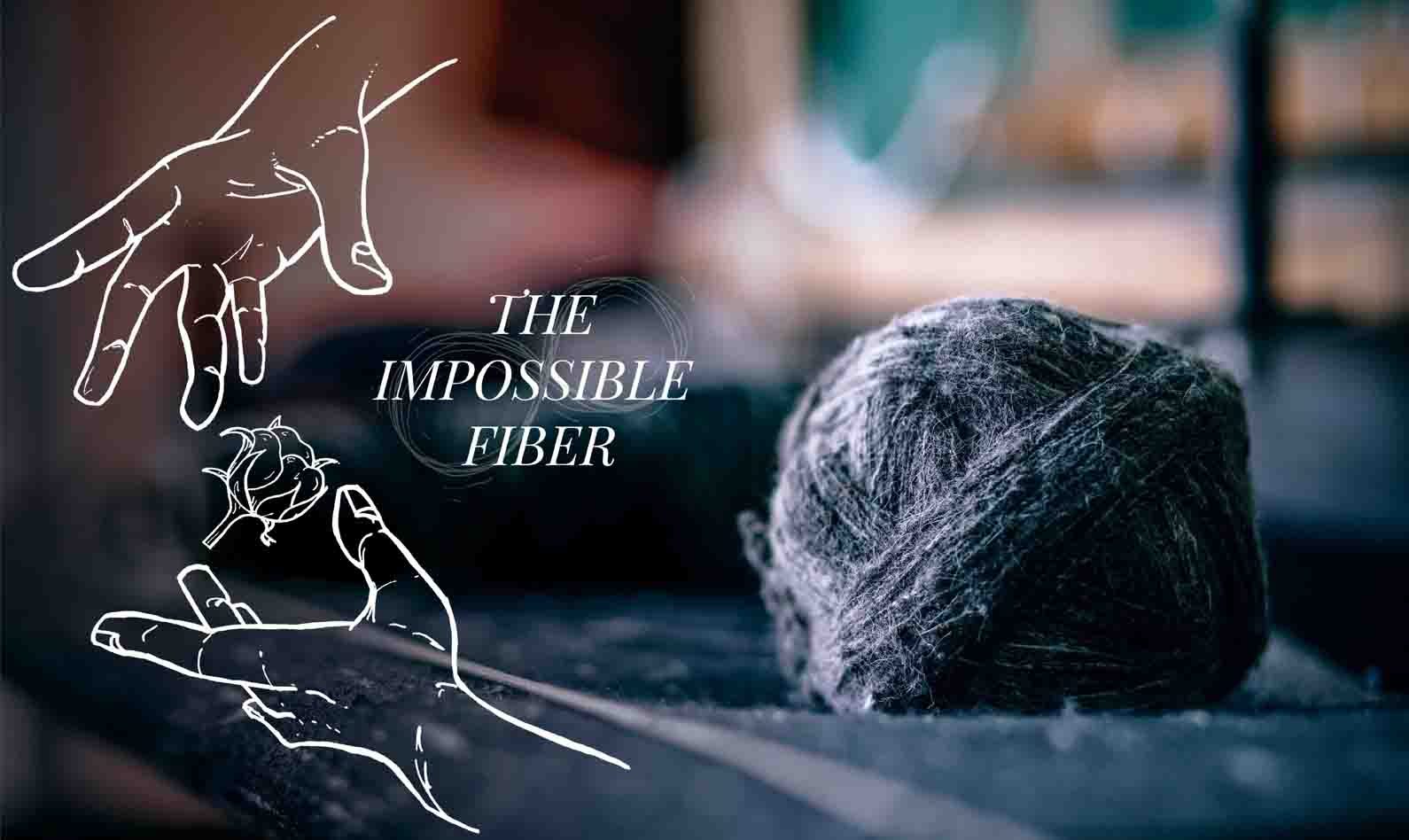 Welcome to The Impossible Fibre