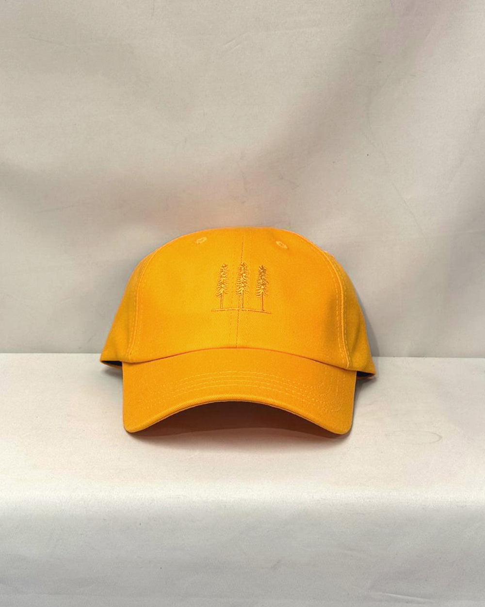 The Cotton Tree Cap