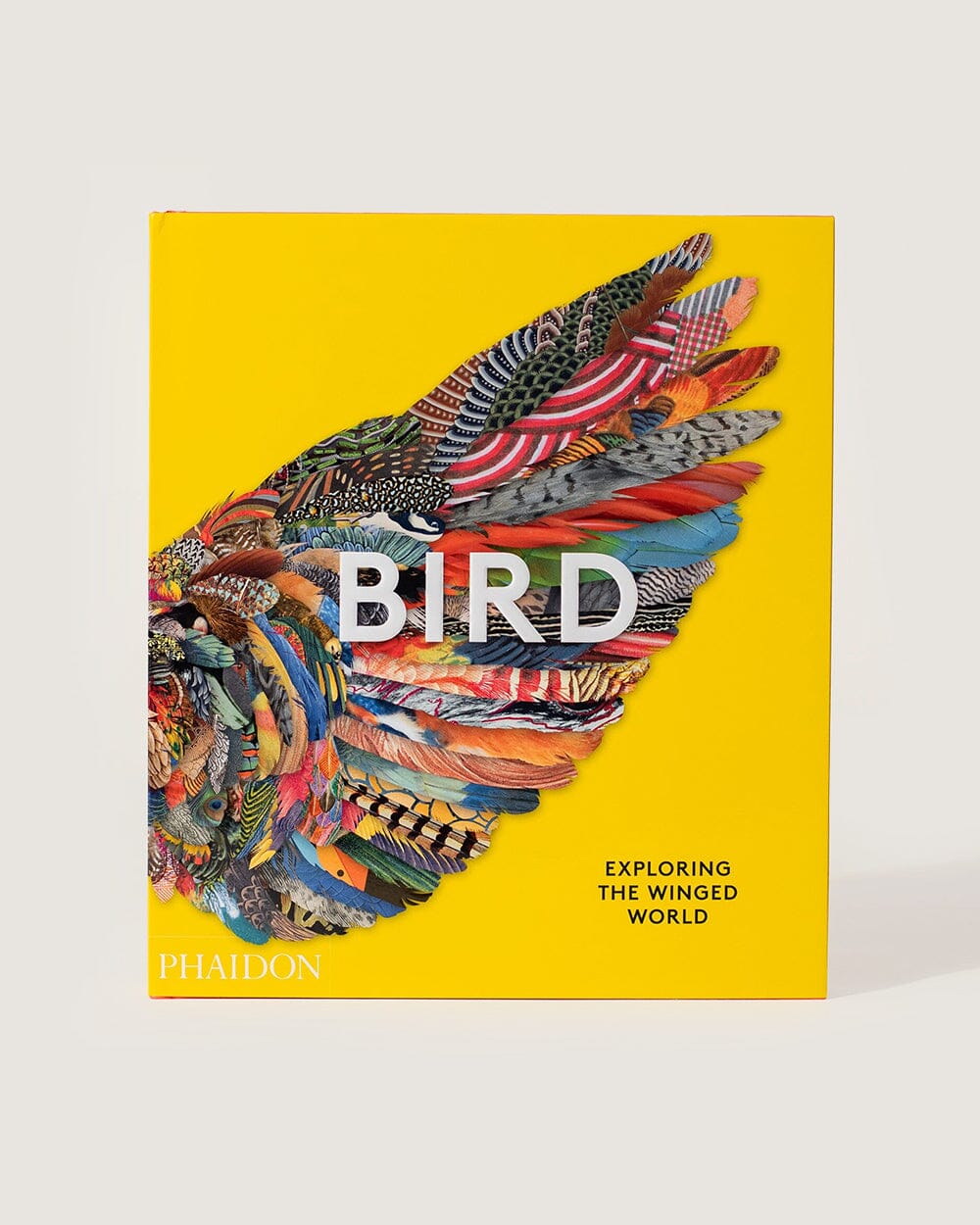 Bird: Exploring the Winged World