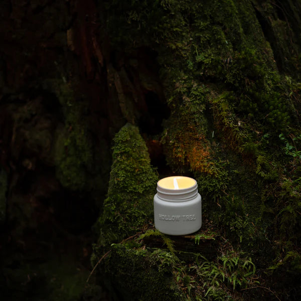 Hollow Tree Candle - Cathedral Grove