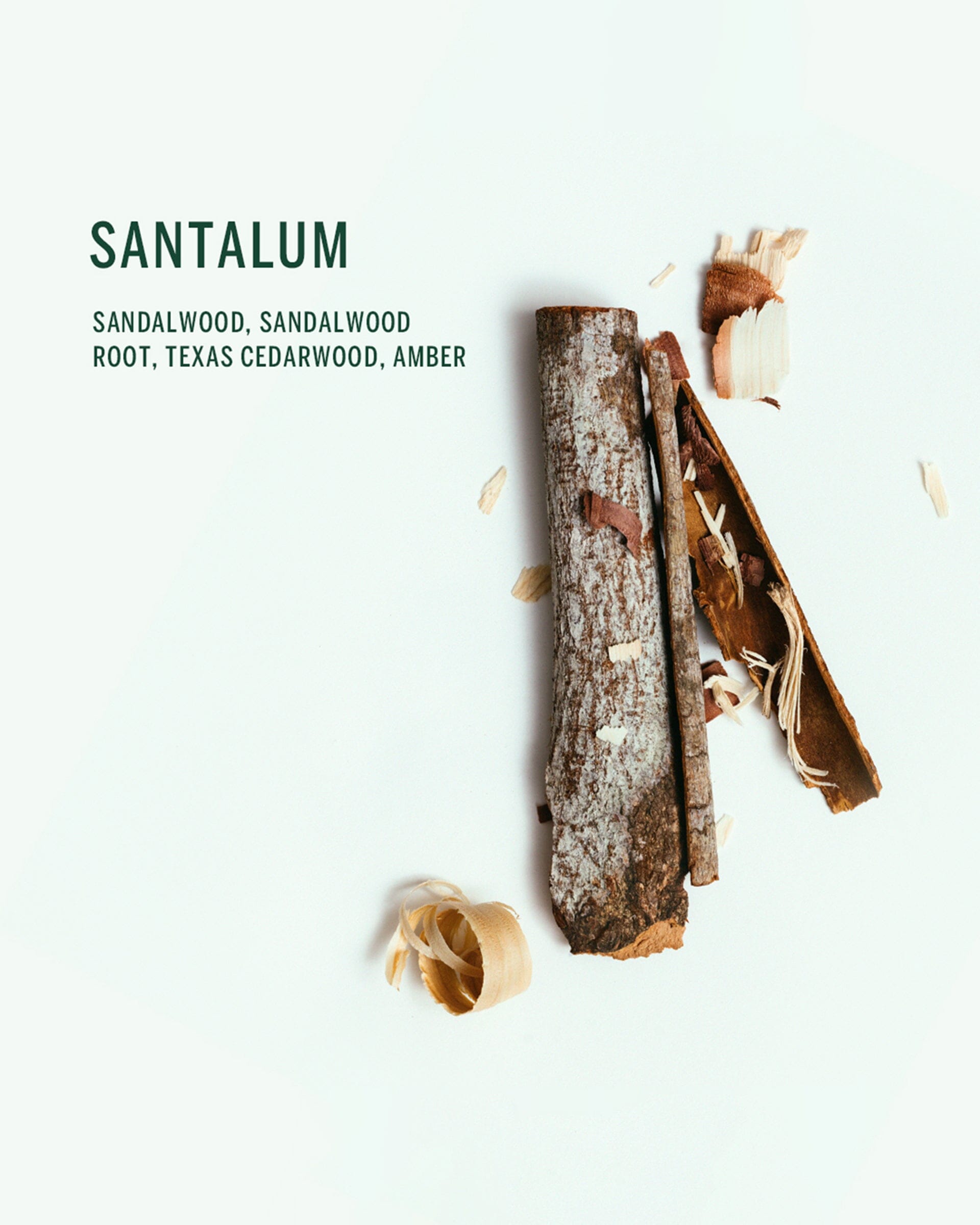 Santalum Scent Image