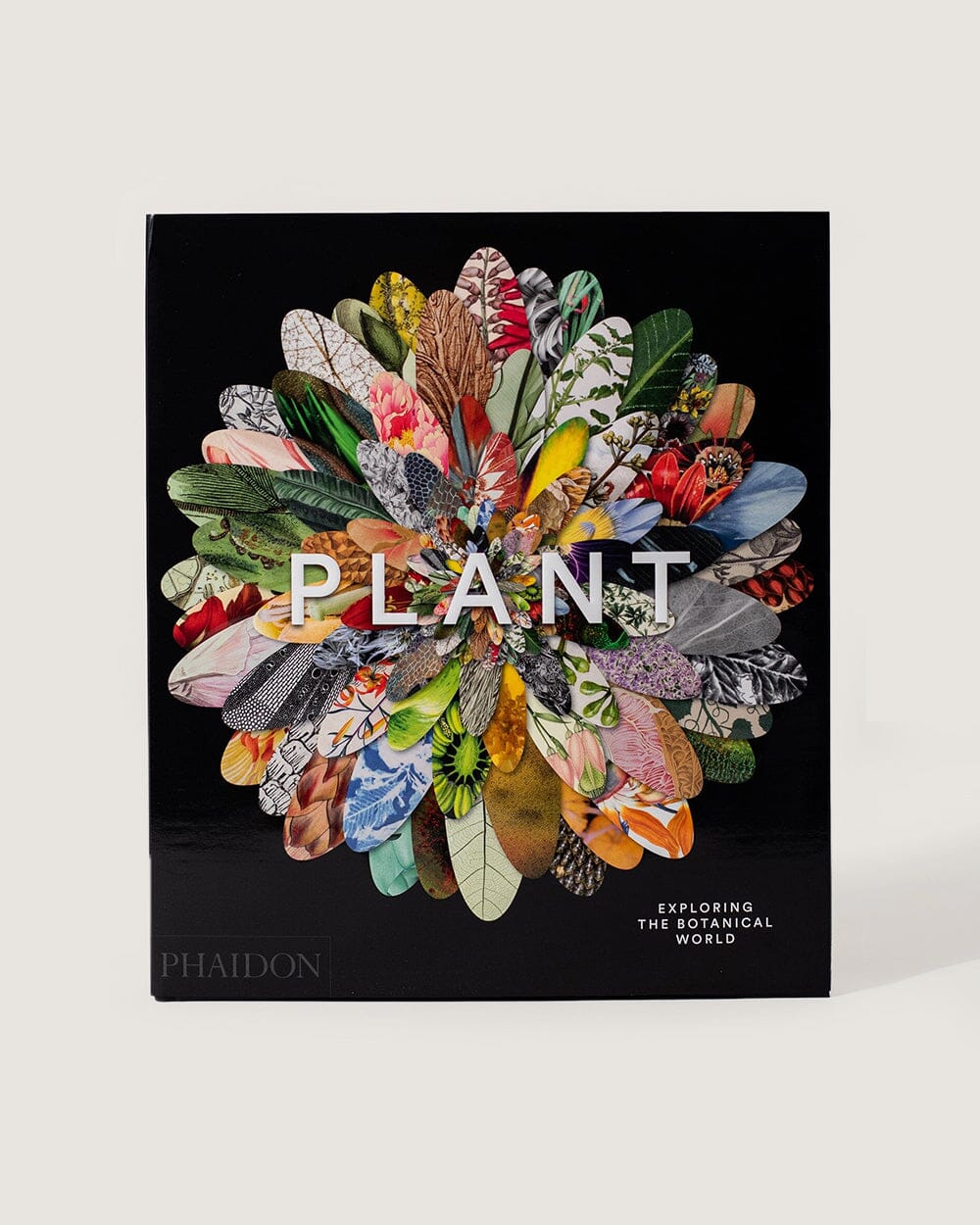 Plant: Exploring the Botanical World