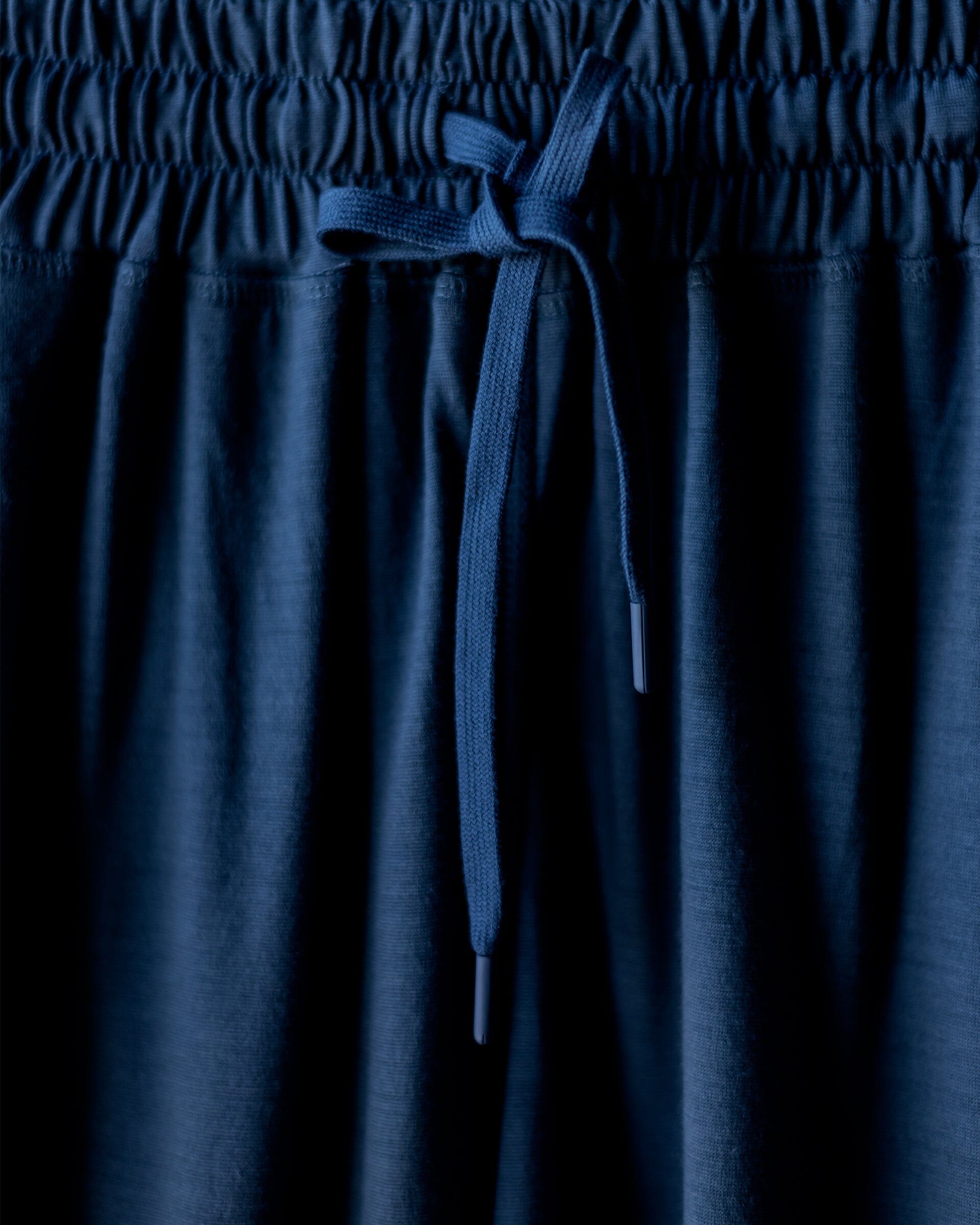 The 195 Merino Jogger in Blue - Detail #color_blue