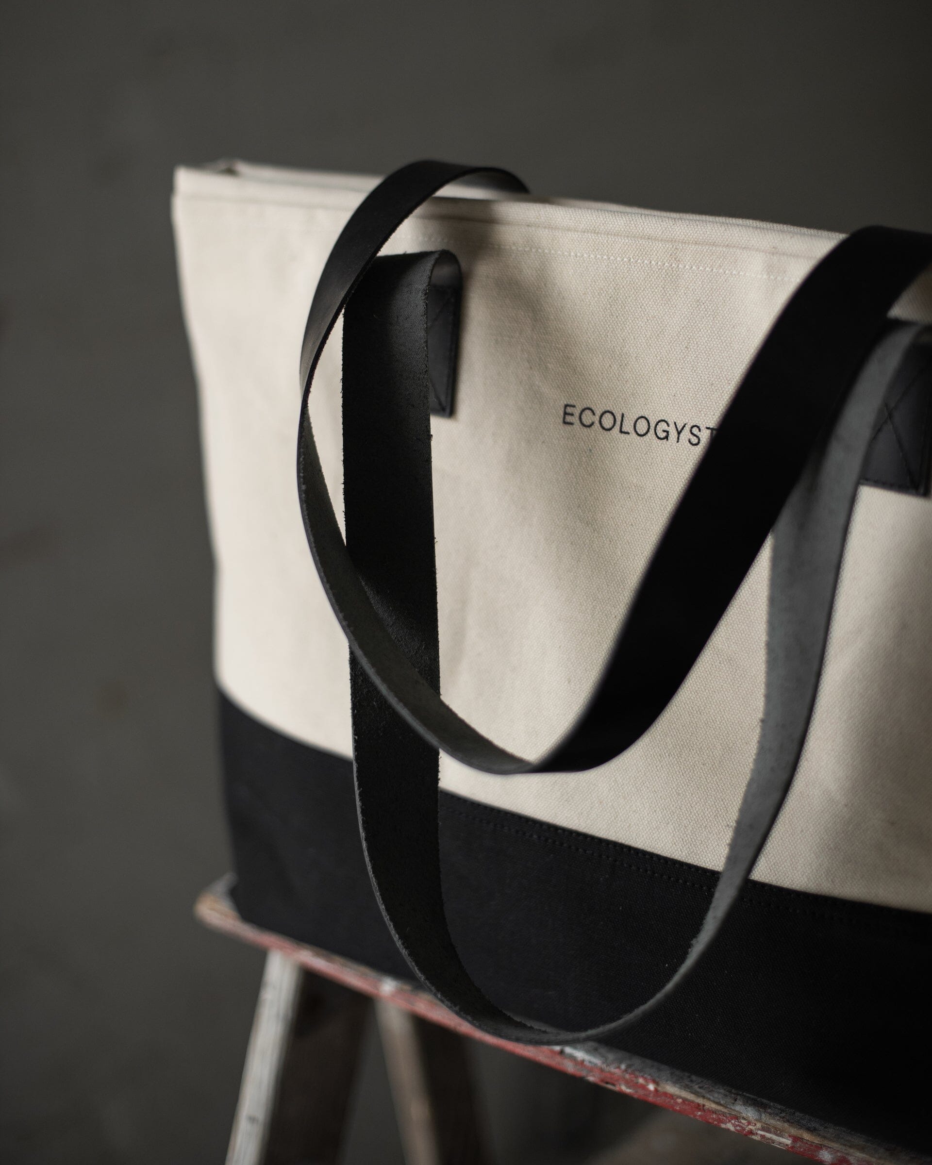 The Ecologyst Tote Detail 1