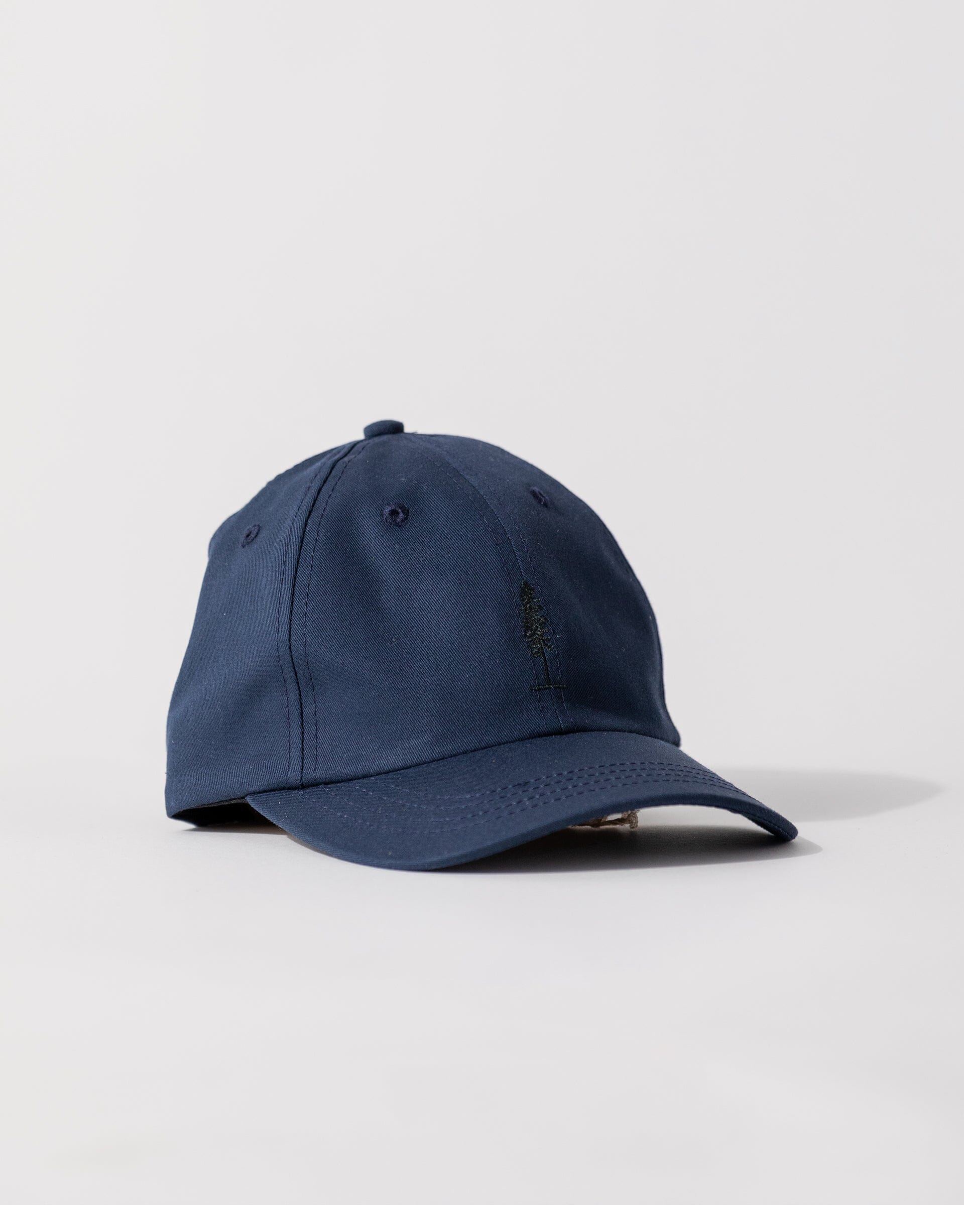 #color_navy The Everyday Cap in Navy 
