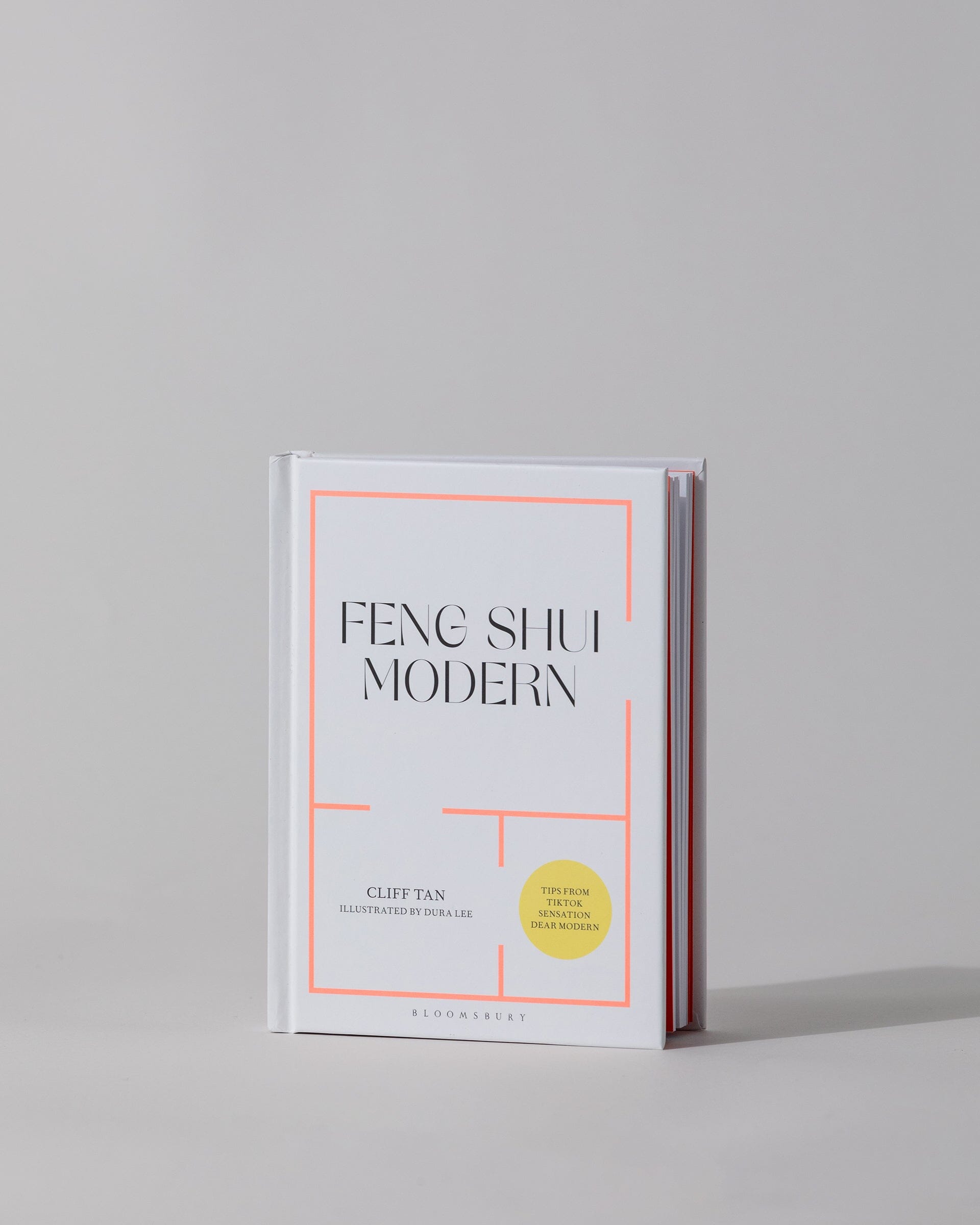 Feng Shui Modern 2