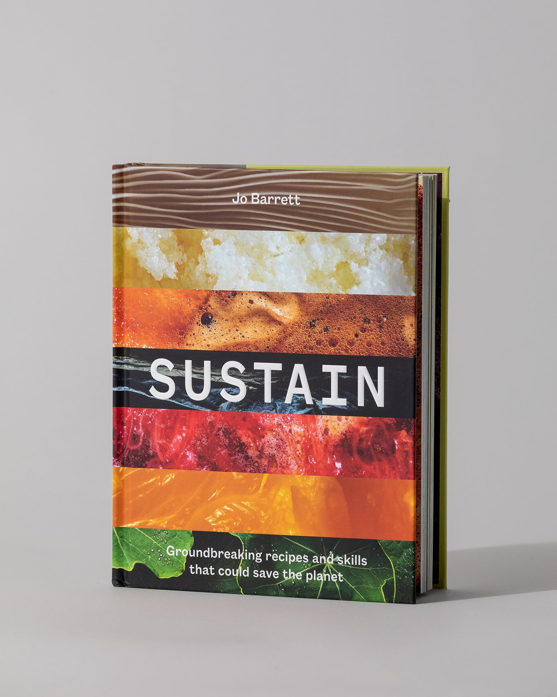 Sustain: Groundbreaking Recipes And Skills That Could Save The Planet 2