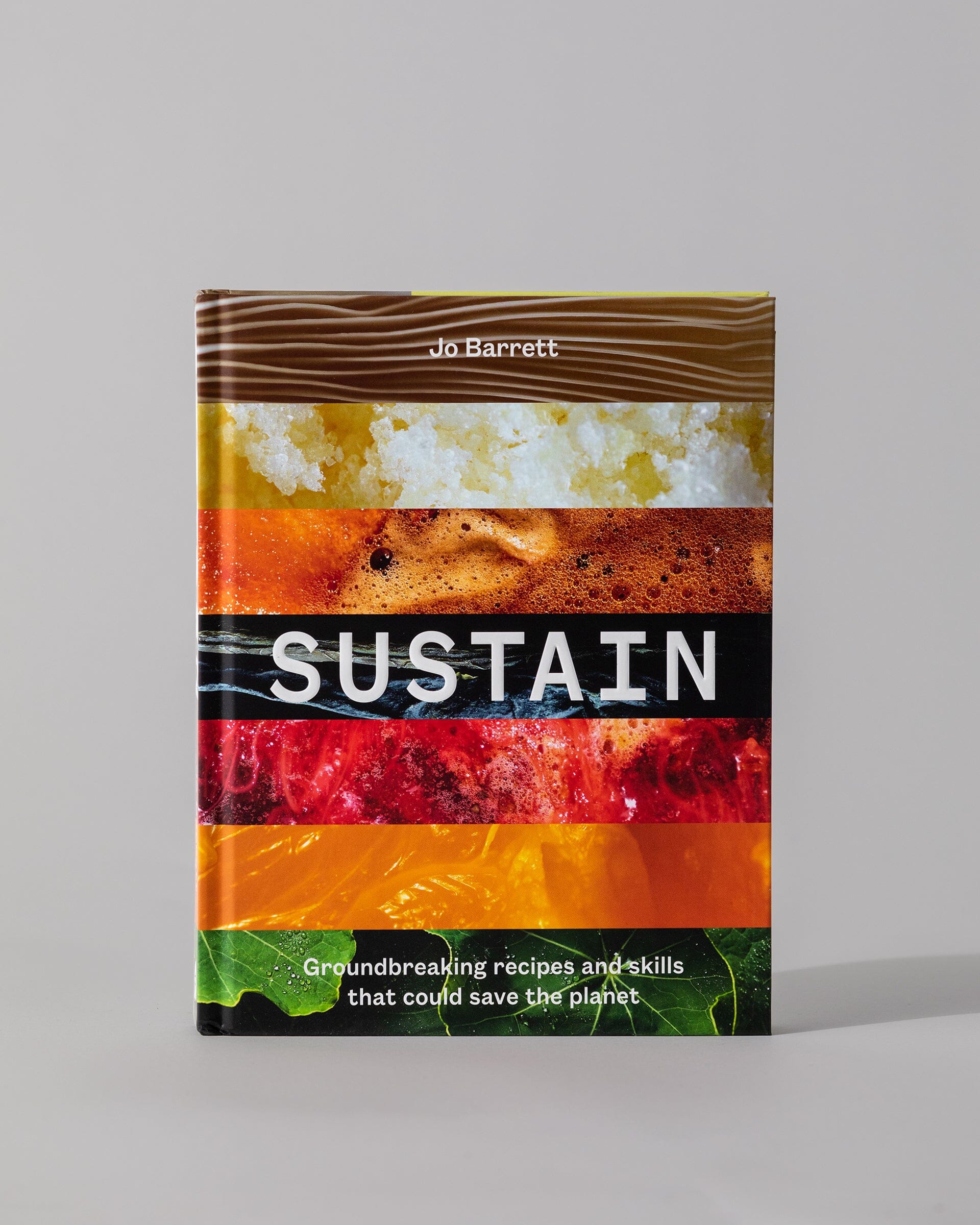 Sustain: Groundbreaking Recipes And Skills That Could Save The Planet 1