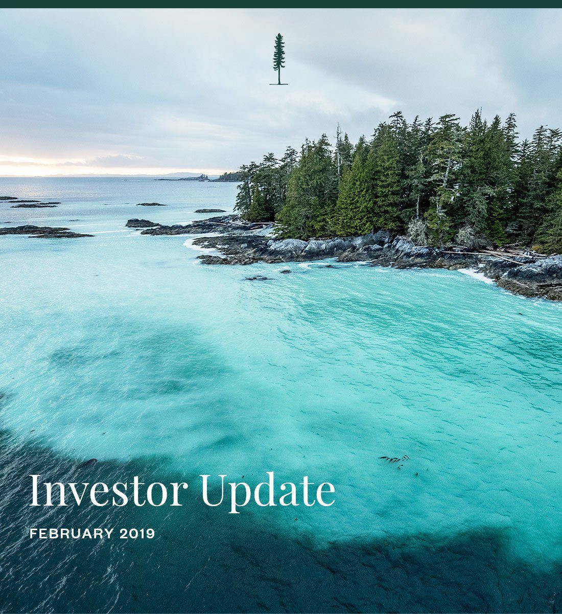Investor Update - February 2019