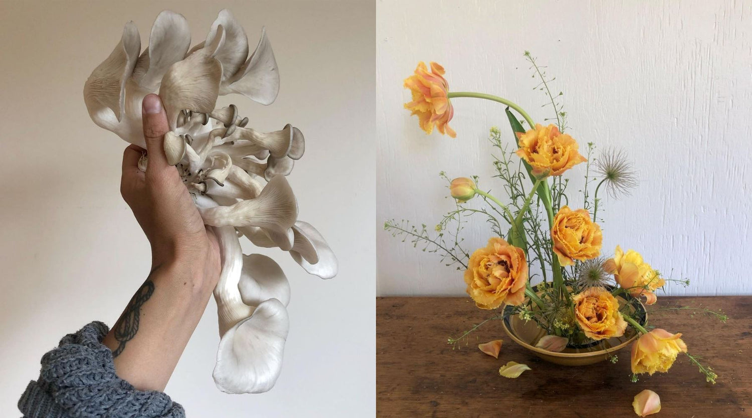Left: a hand holding up a bunch of mushrooms; Right: a bouquet of orange flowers