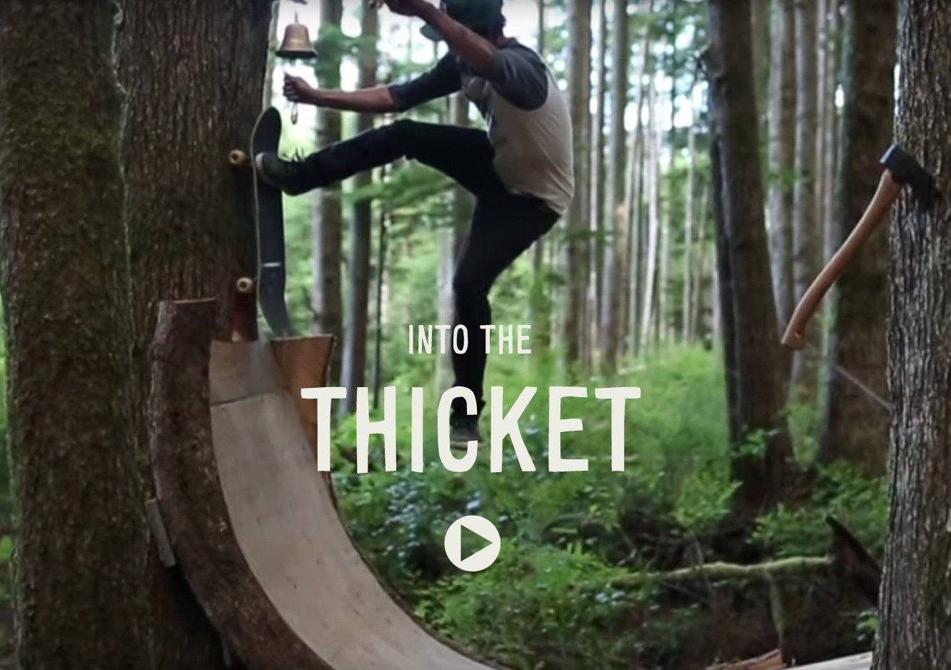 Into the Thicket | A Skate Ramp in BC's Old Growth Forest