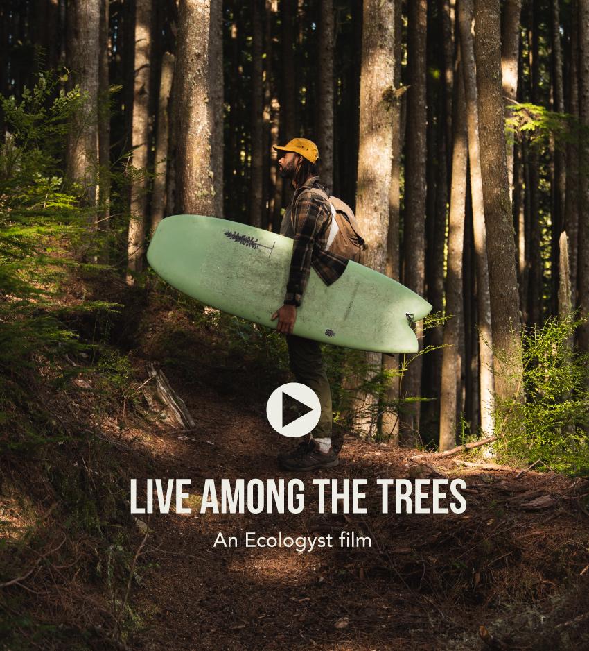 Live among the trees - an ecologyst film