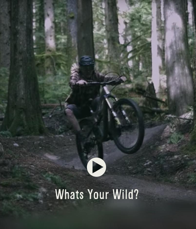 What's Your Wild? - Ben Byers