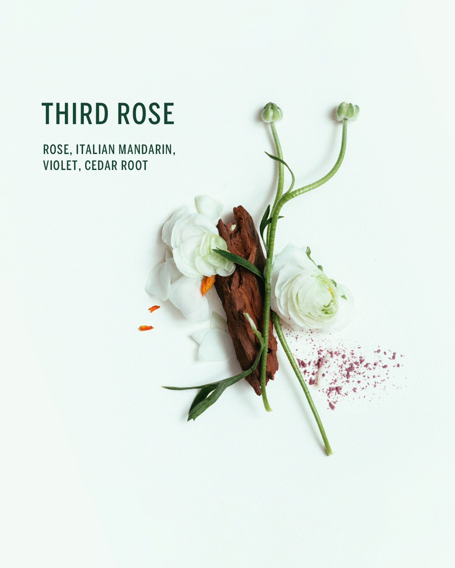 Third Rose Scent Image