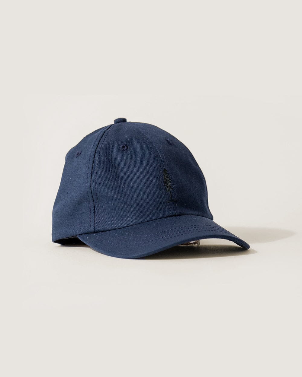 The Everyday Cap