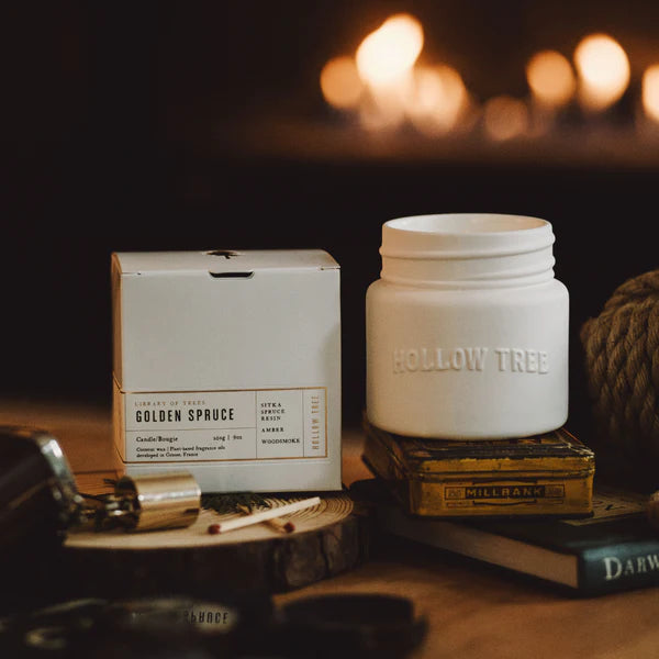 Hollow Tree Candle - Golden Spruce