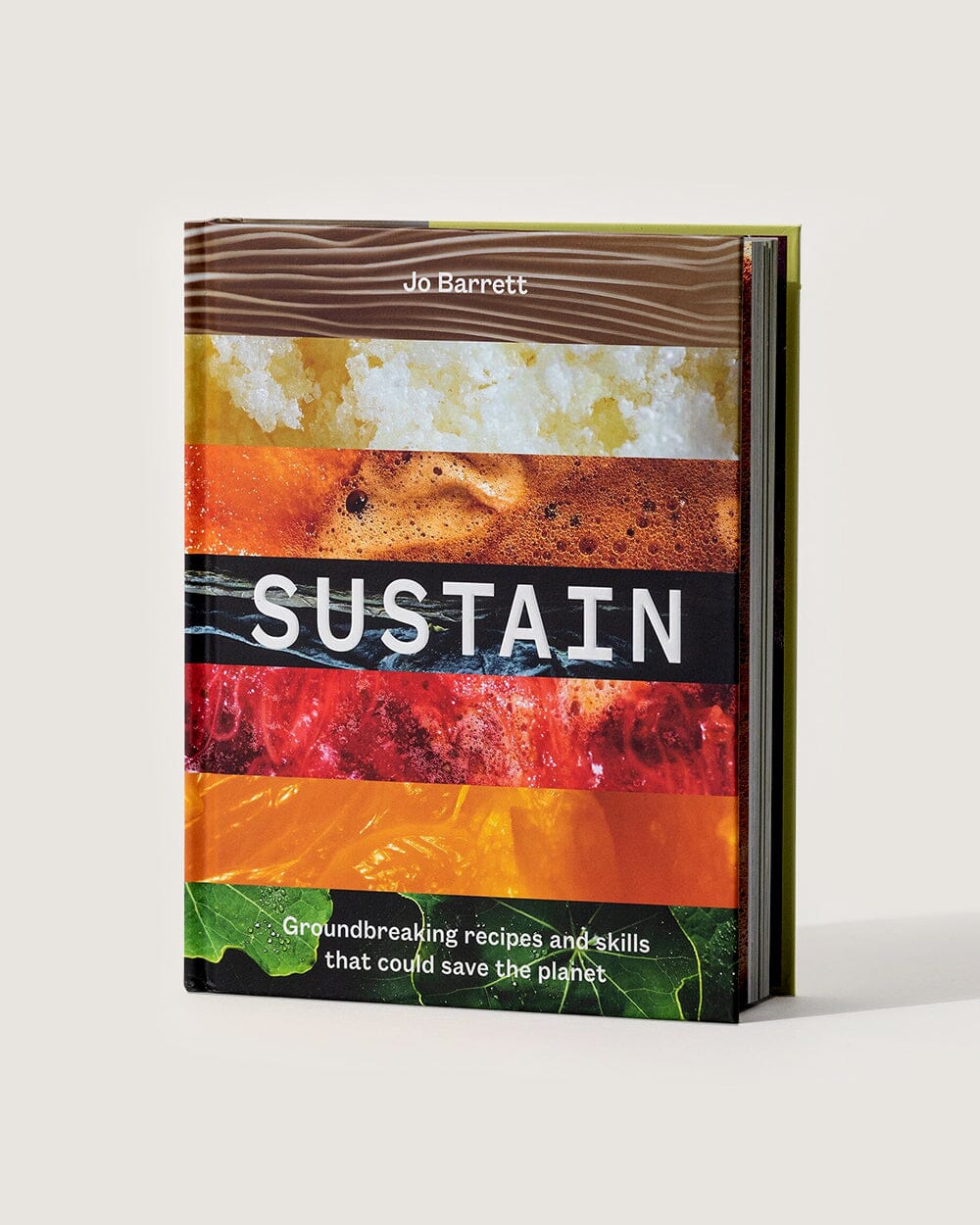 Sustain: Groundbreaking Recipes And Skills That Could Save The Planet