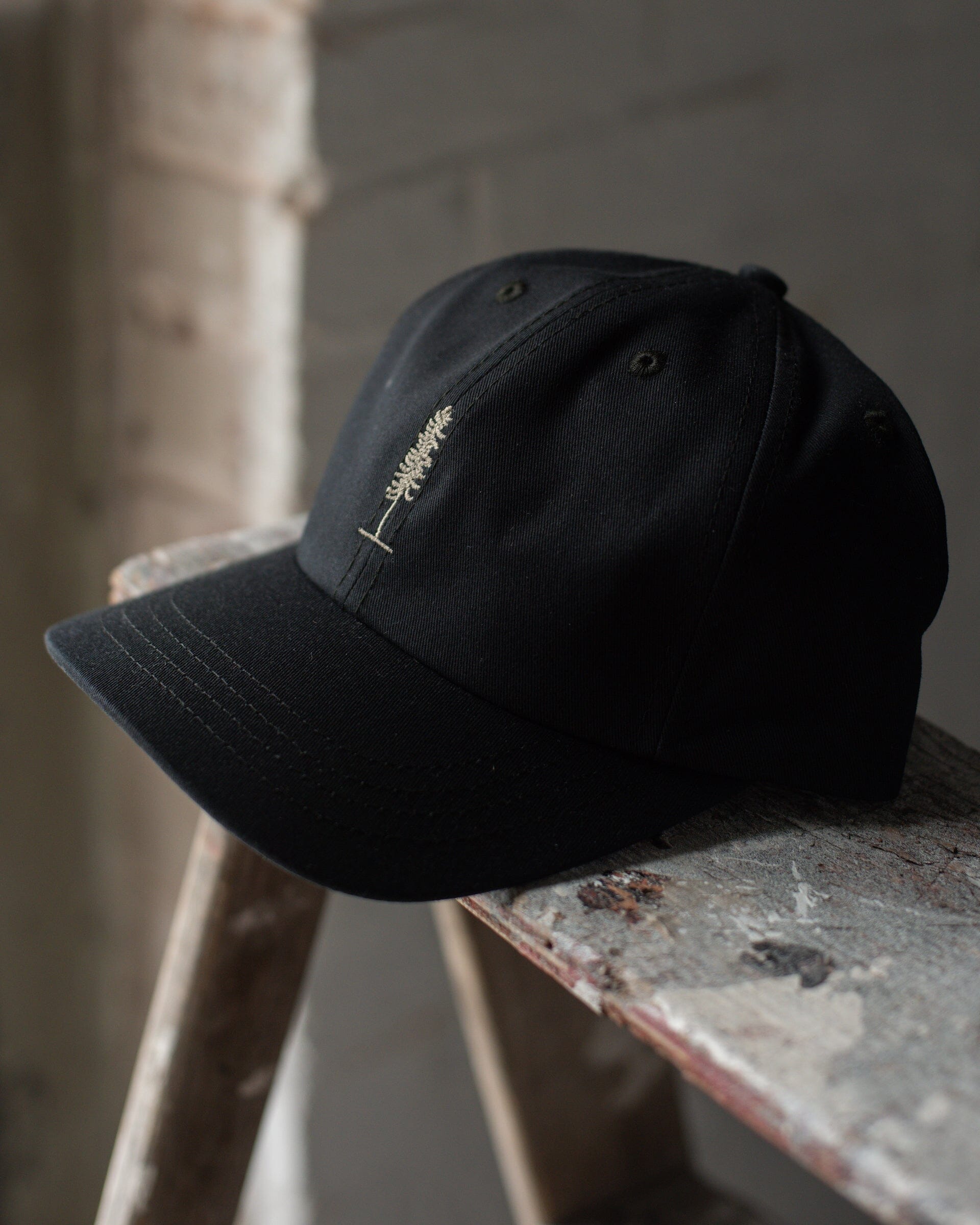 The Everyday Cap in Black #color_black