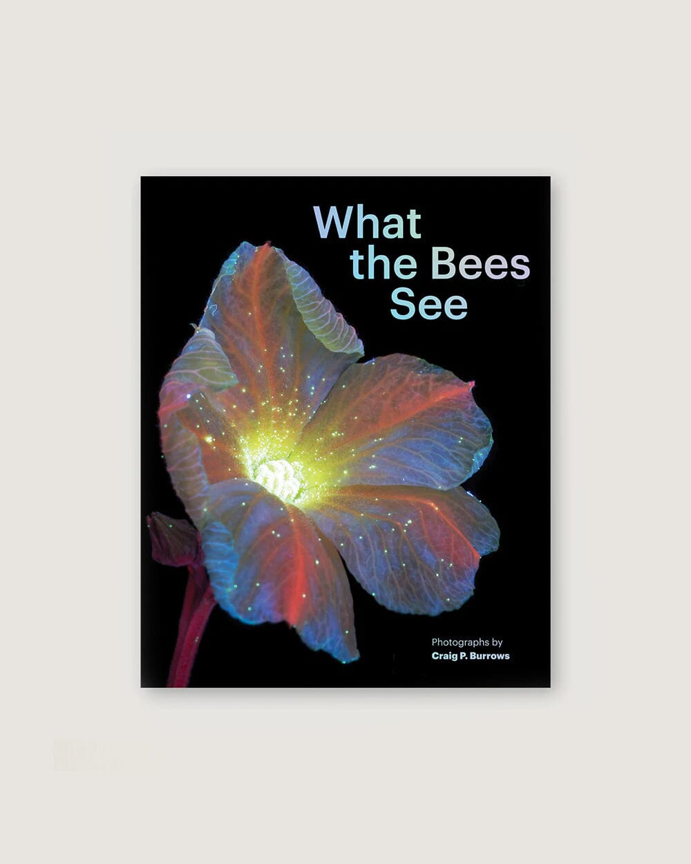 What the Bees See: A Honeybee's Eye View of the World