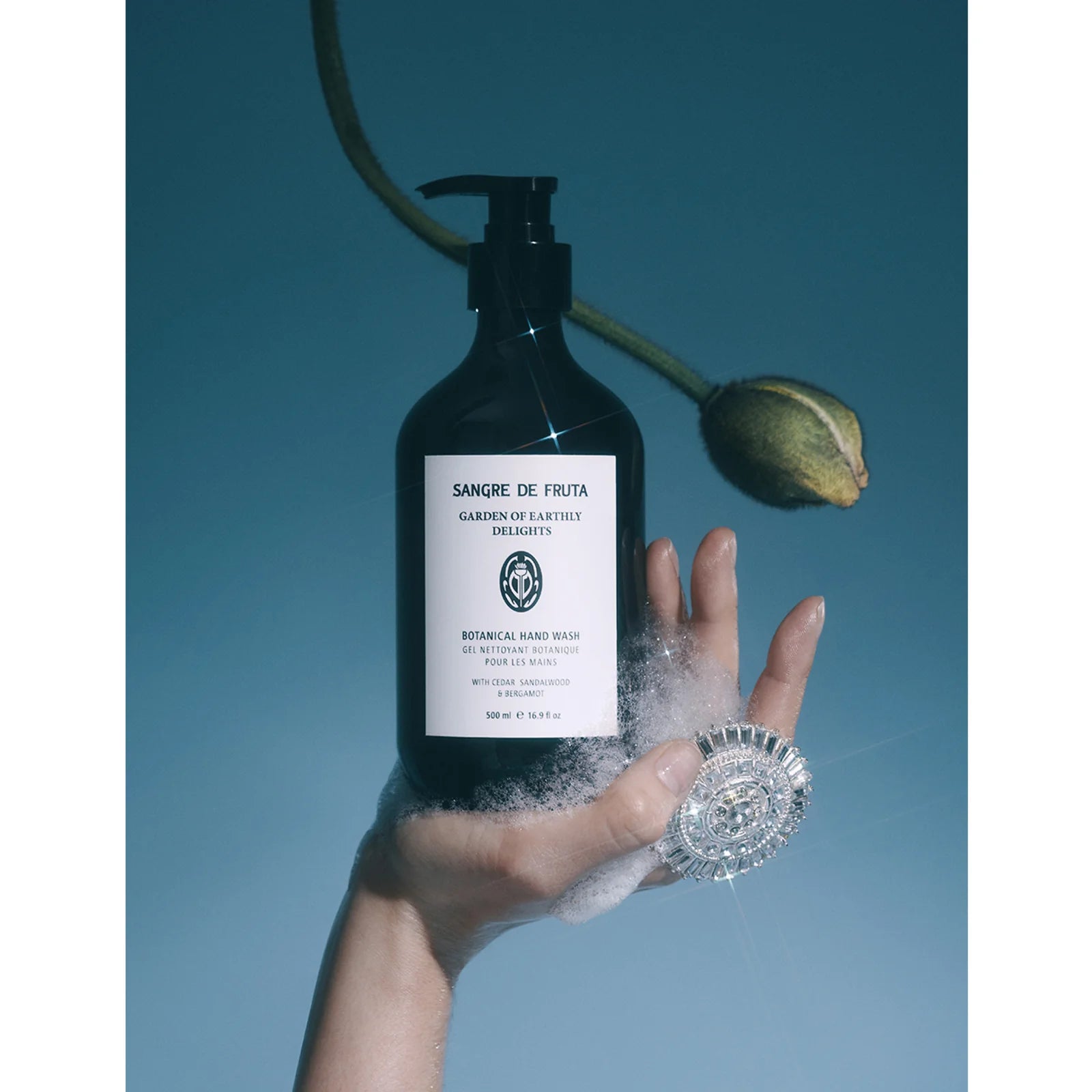 Sangre de Fruta Botanical Hand Wash